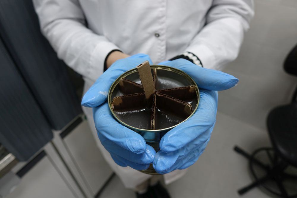 НИУ «БелГУ» присоединился к всероссийской акции «Теплота»