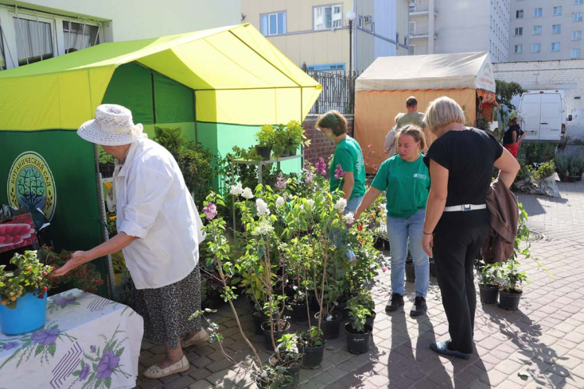 События НИУ «БелГУ» ботанический сад ниу «белгу» представил свою продукцию на выставке «осенний сад»